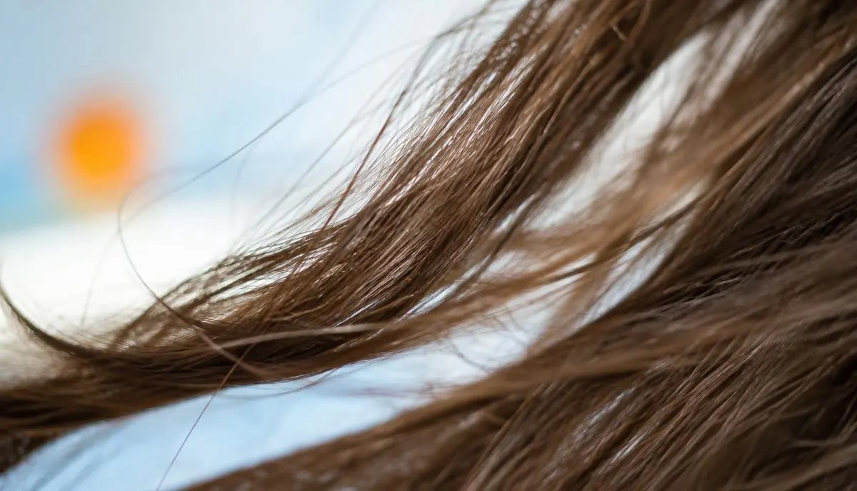 Close-up de fios de cabelo com texturas diferentes sendo observados sob luz natural